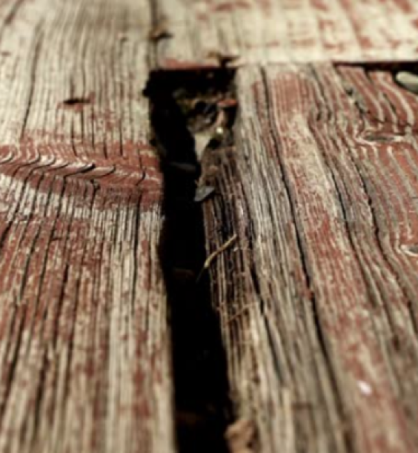 Screenshot-2025-07-05-at-6.31.11-am-768x404